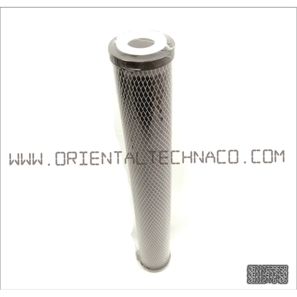  Standard 20in CTO carbon filter