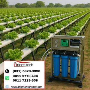 Standar Kualitas Air untuk Sistem Hidroponik Modern!